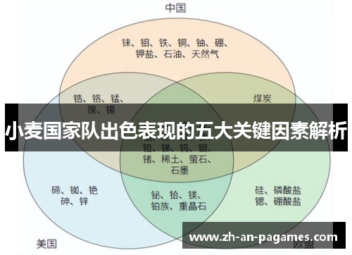 小麦国家队出色表现的五大关键因素解析