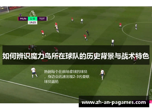 如何辨识魔力鸟所在球队的历史背景与战术特色