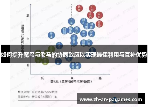如何提升魔鸟与老马的协同效应以实现最佳利用与互补优势