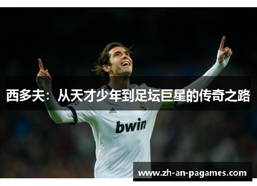 西多夫：从天才少年到足坛巨星的传奇之路