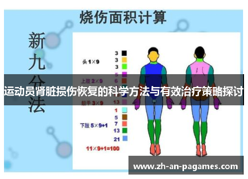 运动员肾脏损伤恢复的科学方法与有效治疗策略探讨