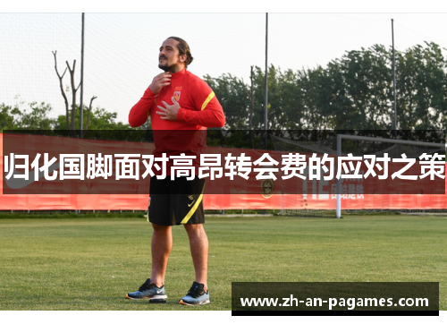 归化国脚面对高昂转会费的应对之策 归化国脚面对高昂转会费的应对之策