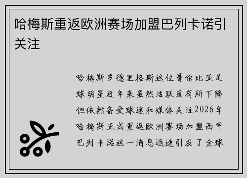 哈梅斯重返欧洲赛场加盟巴列卡诺引关注 哈梅斯重返欧洲赛场加盟巴列卡诺引关注